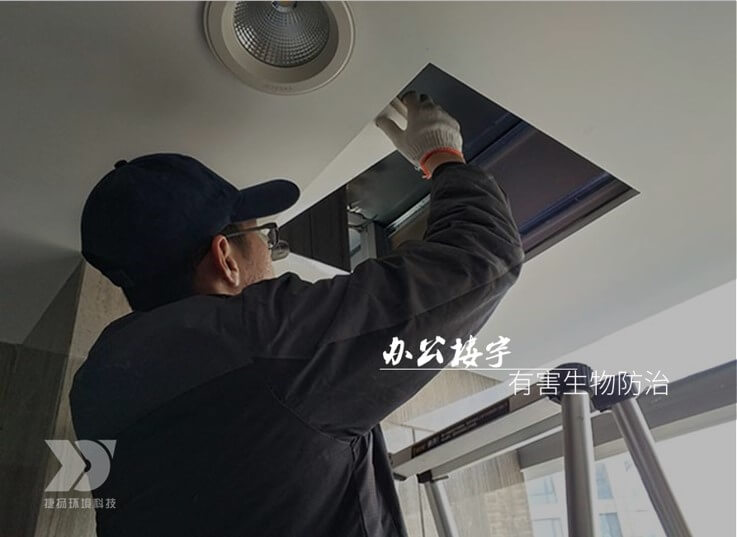 專業辦公環境蟲害防治